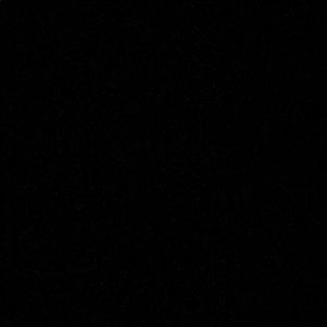 Meet your Posher, Shania